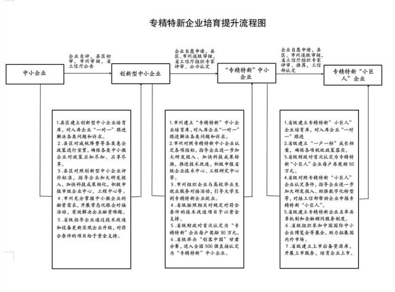 專精特新企業(yè)培育提升流程圖 (2).jpg