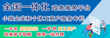 全國一體化政務服務平臺小微企業(yè)和個體工商戶服務專欄